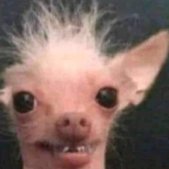 Meet your Posher, Ayana - Picture 1 of 1